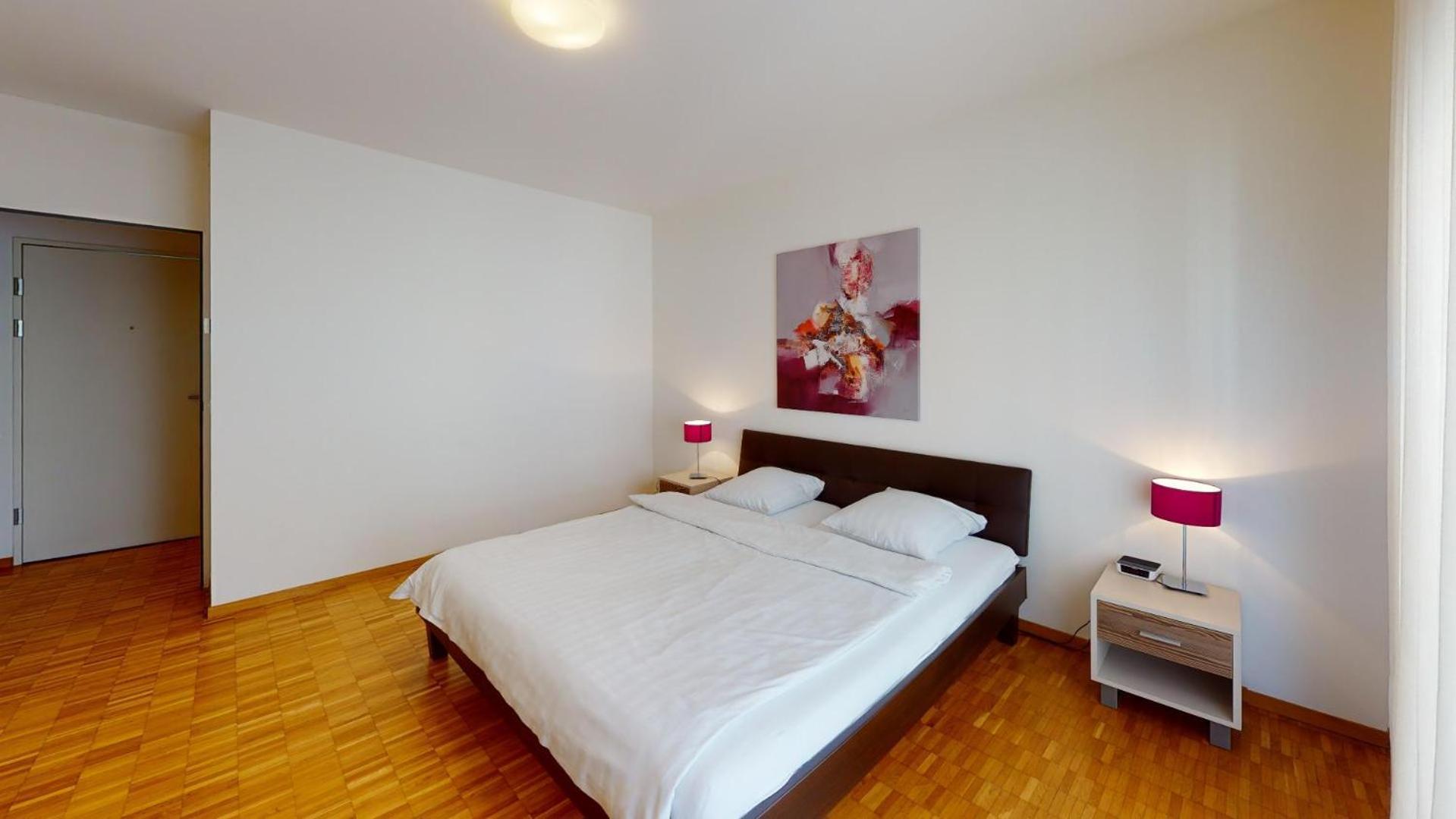 Schoenau Serviced Living Apartment Basel